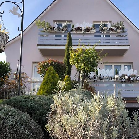 Hotel Gite Riquewihr "C'Est Beau La Vie Alsace" Exterior foto