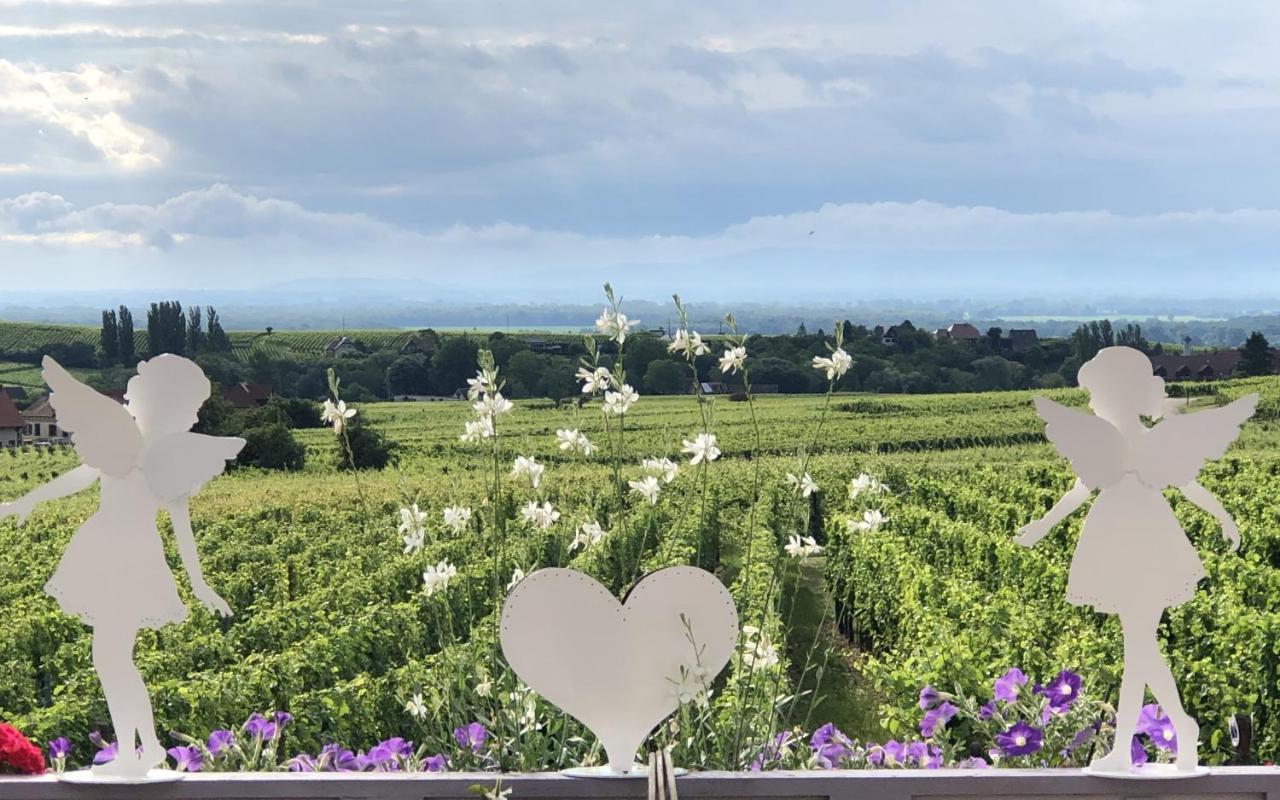 Gite Riquewihr "C'Est Beau La Vie Alsace" Exterior foto