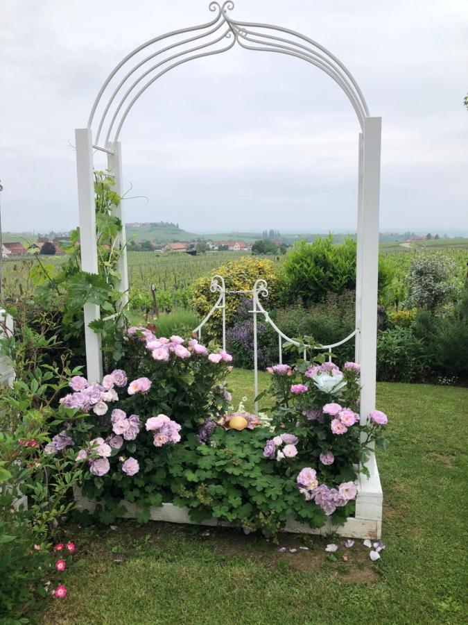 Gite Riquewihr "C'Est Beau La Vie Alsace" Exterior foto