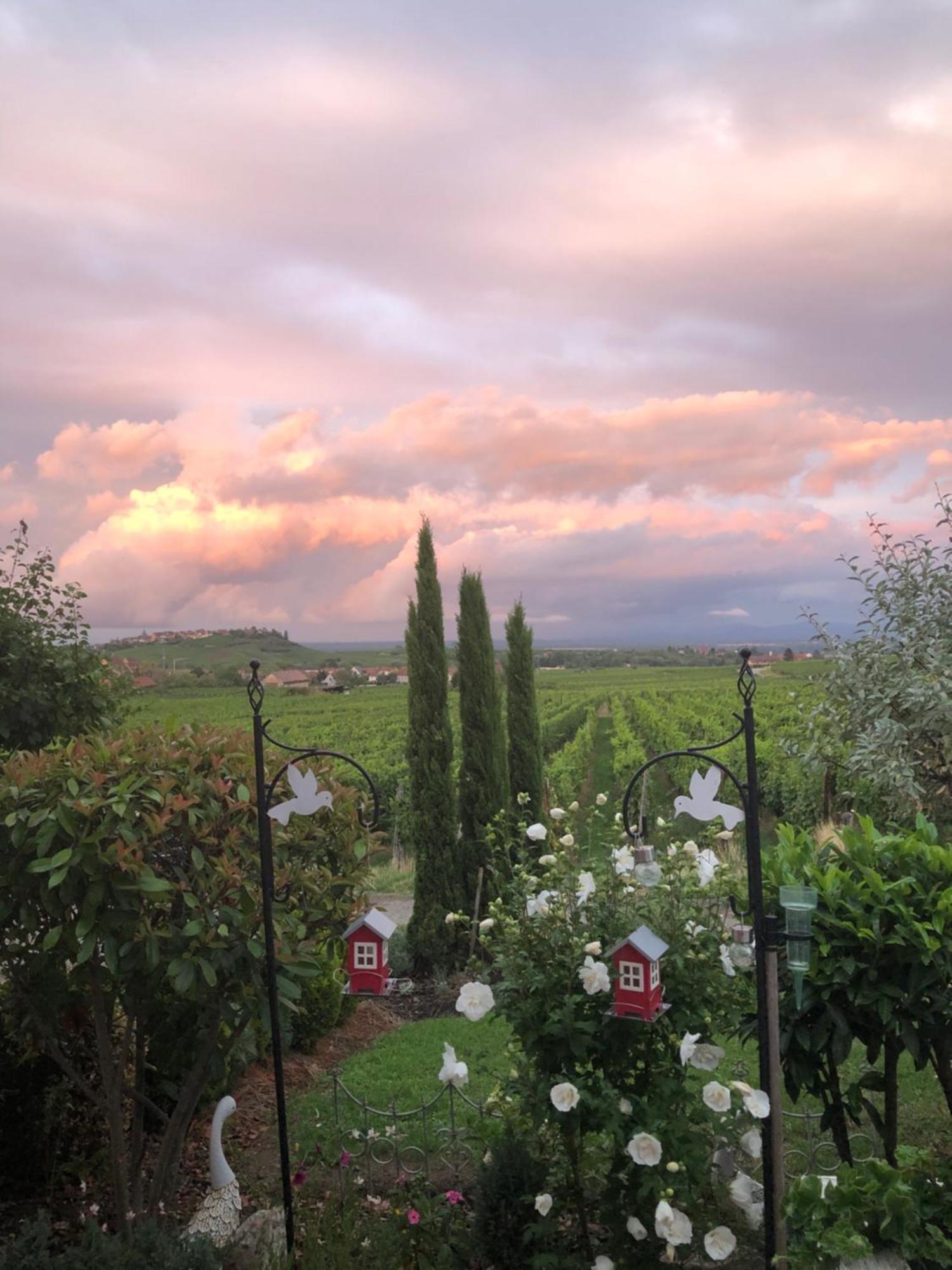 Gite Riquewihr "C'Est Beau La Vie Alsace" Exterior foto