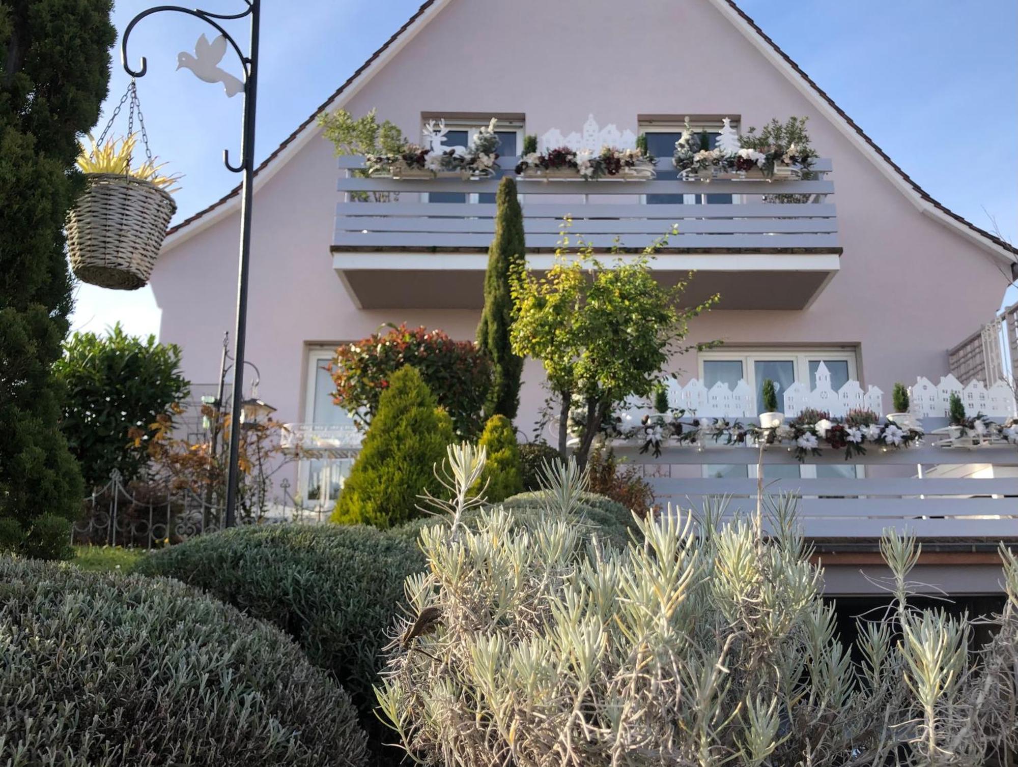 Hotel Gite Riquewihr "C'Est Beau La Vie Alsace" Exterior foto